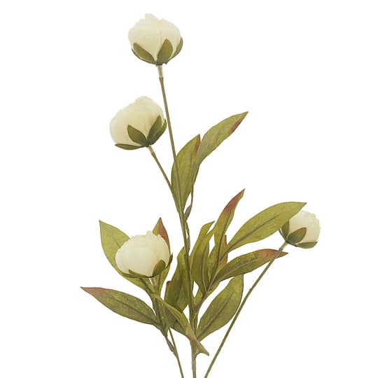16 Pack: Cream Peony Stem by Ashland®